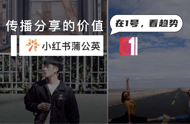 小紅書蒲公英平臺(tái)是什么,，蒲公英平臺(tái)操作指南