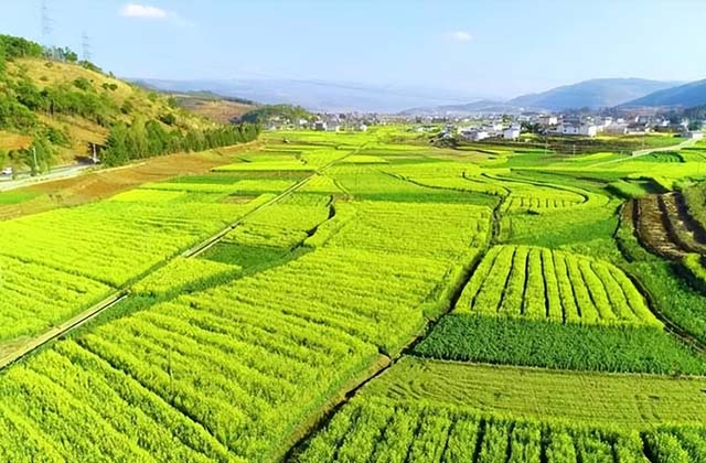 做三農(nóng)自媒體的前景好嗎（抖音做農(nóng)村題材存在的機會）